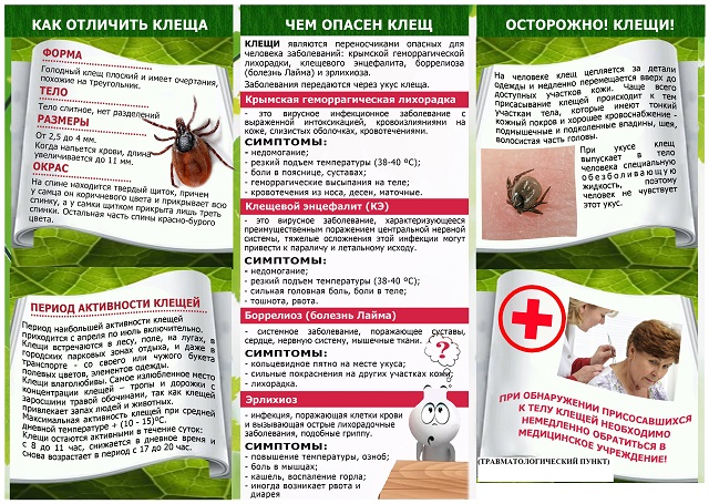 prof kleshevih infekciy 3