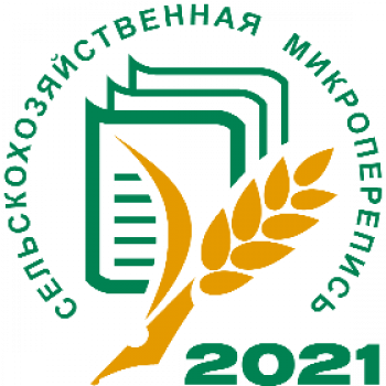 shmp 2021