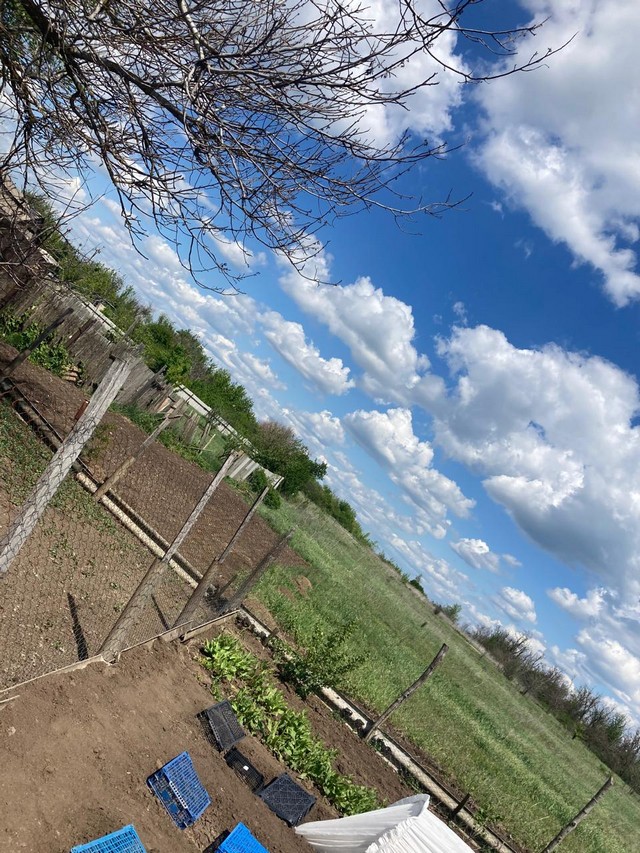 photo 23 05 2025 03