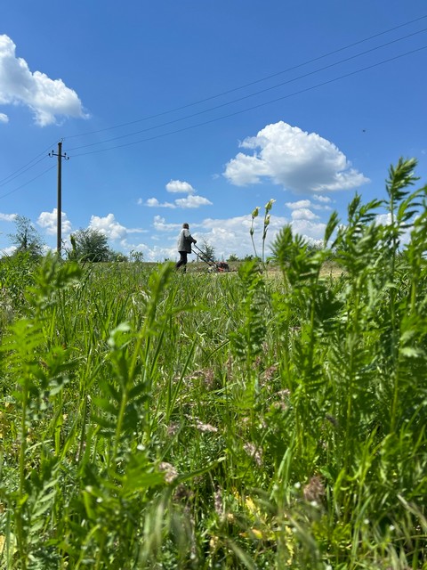 photo 27 05 2025 03