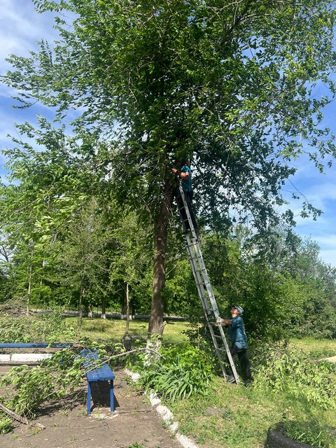 photo 27 05 2025 05