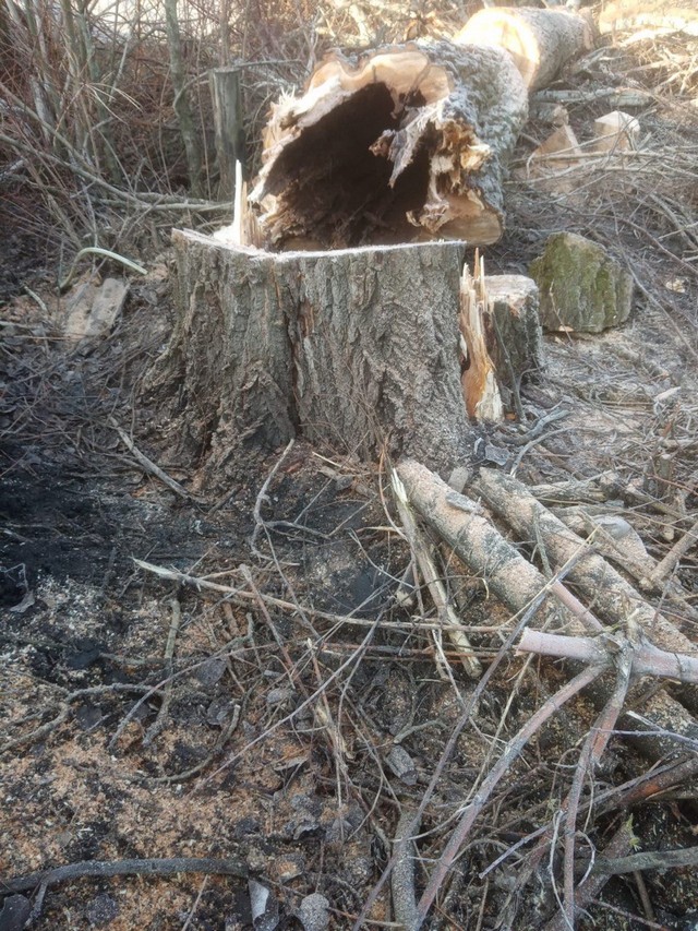 photo 29 05 2025 01
