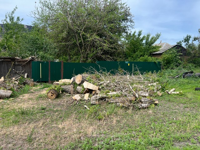 photo 29 05 2025 03
