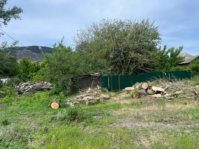 photo 29 05 2025 04